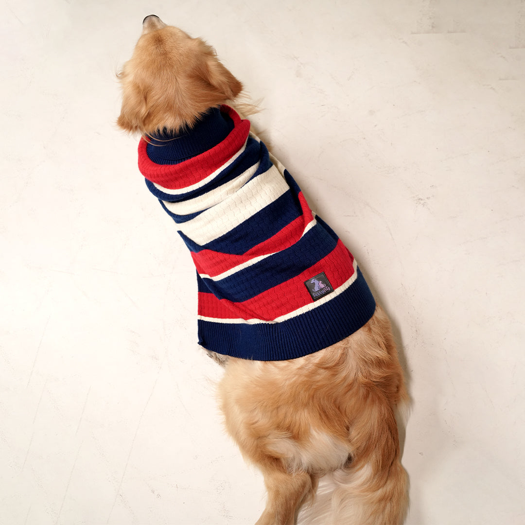 CruiseLine Knit Sweater – Classic Navy Winter Pet Sweater
