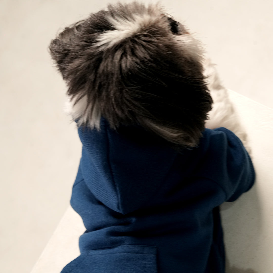 MidSky Lounge Hoodie – Cool Blue Winter Pet Hoodie