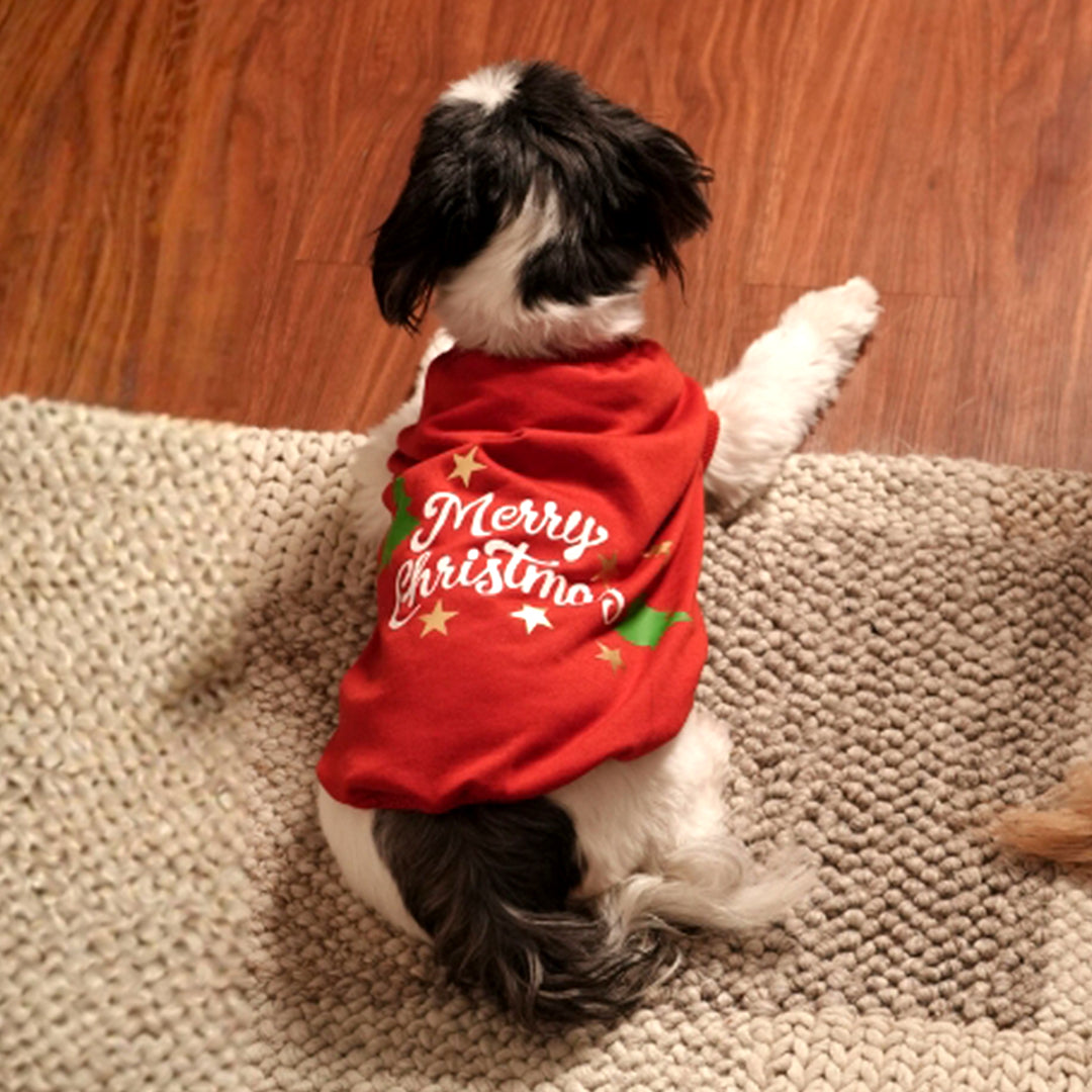 Jingle Joy Tee – Christmas Red Winter Pet Tee