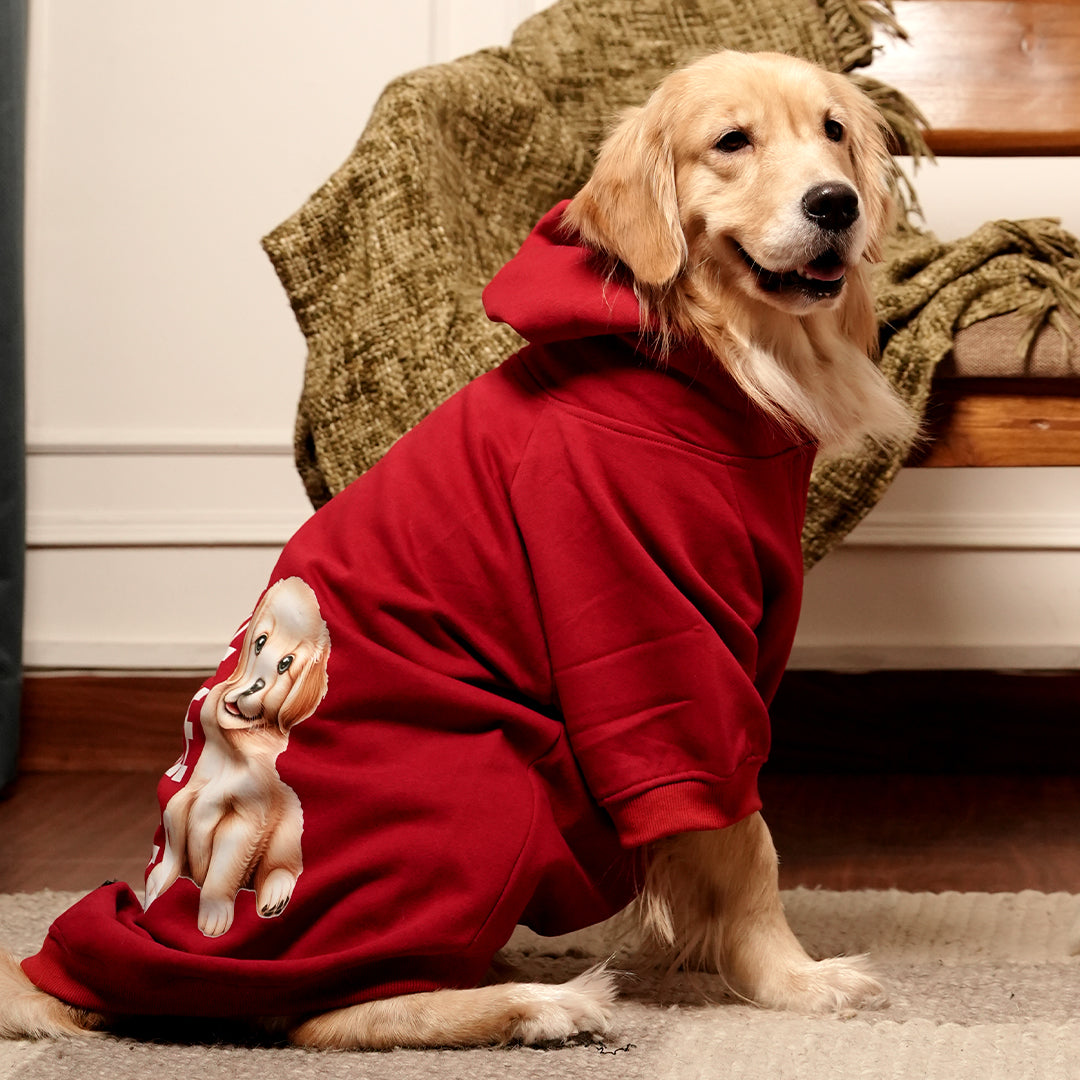 Rudolph Red Hoodie – Festive Red Winter Pet Hoodie