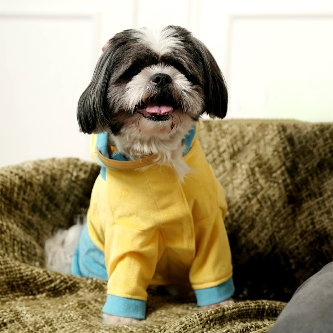 Furryfits Minion Mischief – Playful Velvet Pet Hoodie