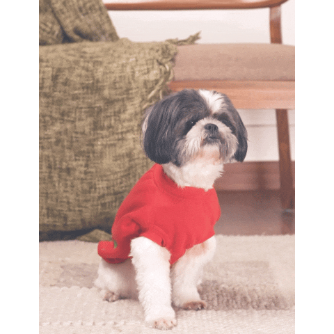 Christmas Wishes Hoodie – Festive Red Fleece Pet Hoodie
