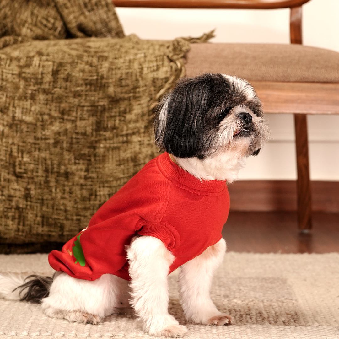 Christmas Wishes Hoodie – Festive Red Fleece Pet Hoodie