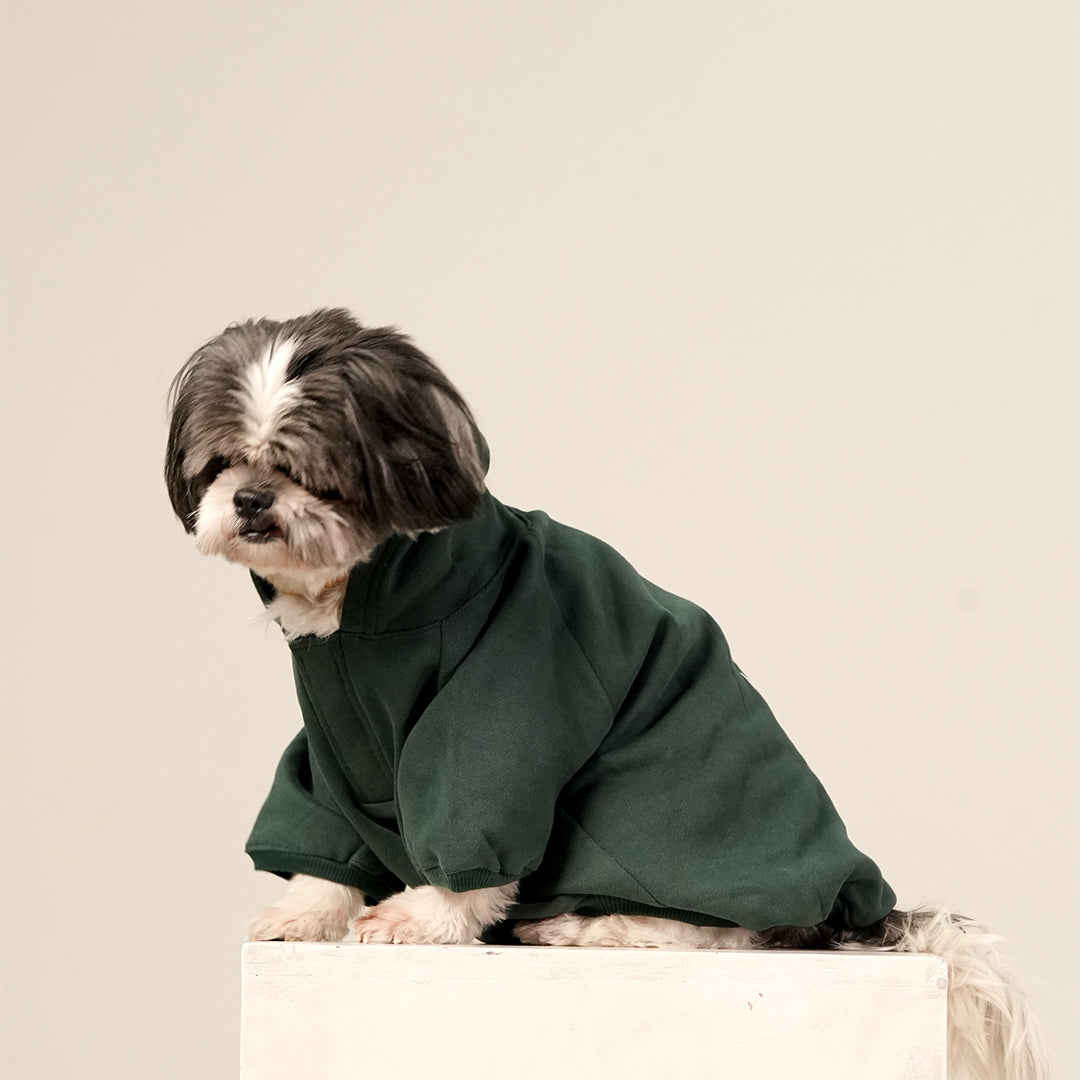 Emerald Charm Hoodie – Elegant Green Fleece Pet Hoodie