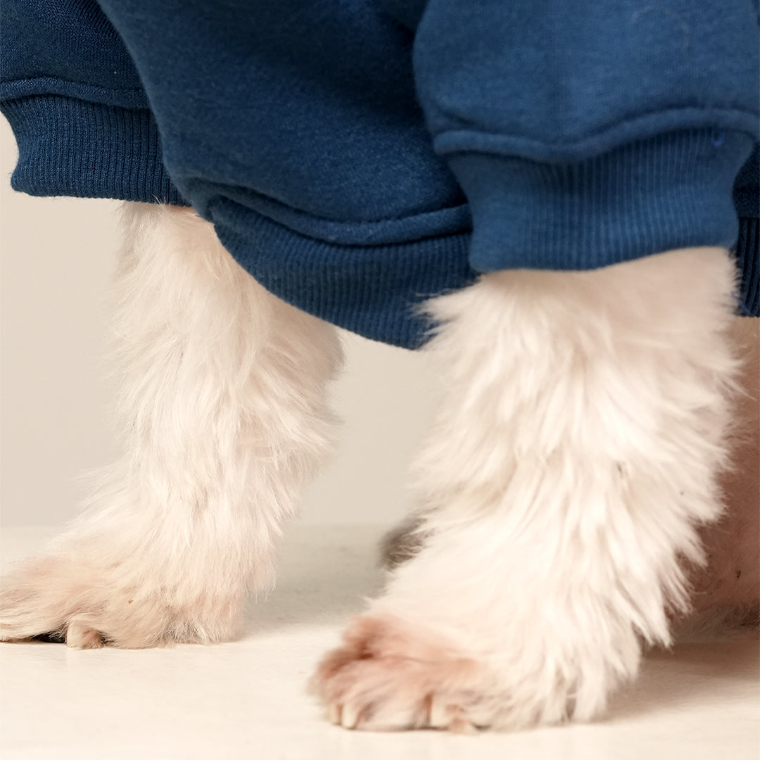 Blue Breeze Hoodie – Cool Blue Fleece Pet Hoodie