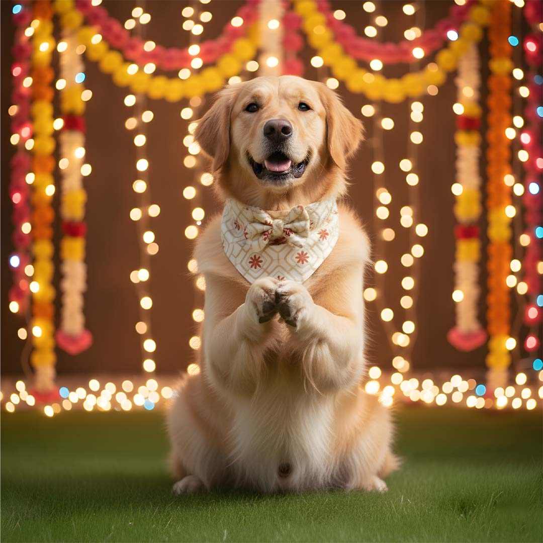 Regal Radiance Bandana