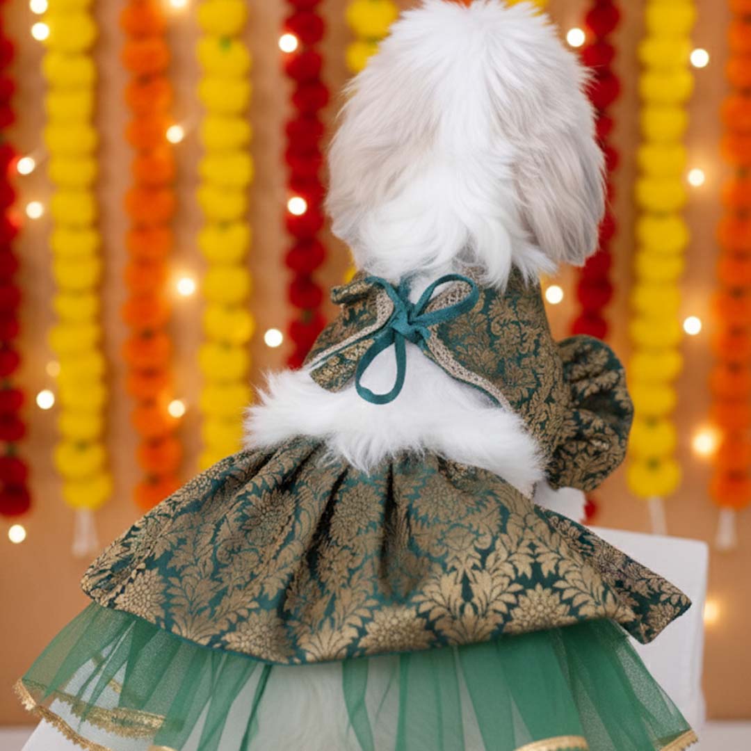Moss Magic Lehenga