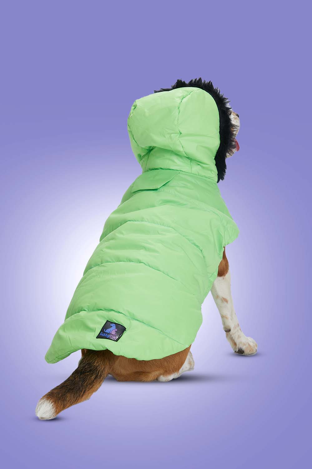 Buy Neon Nibble Pet Hoodie for Dogs – Stylish & Warm Pet Hoodie by FurryFits