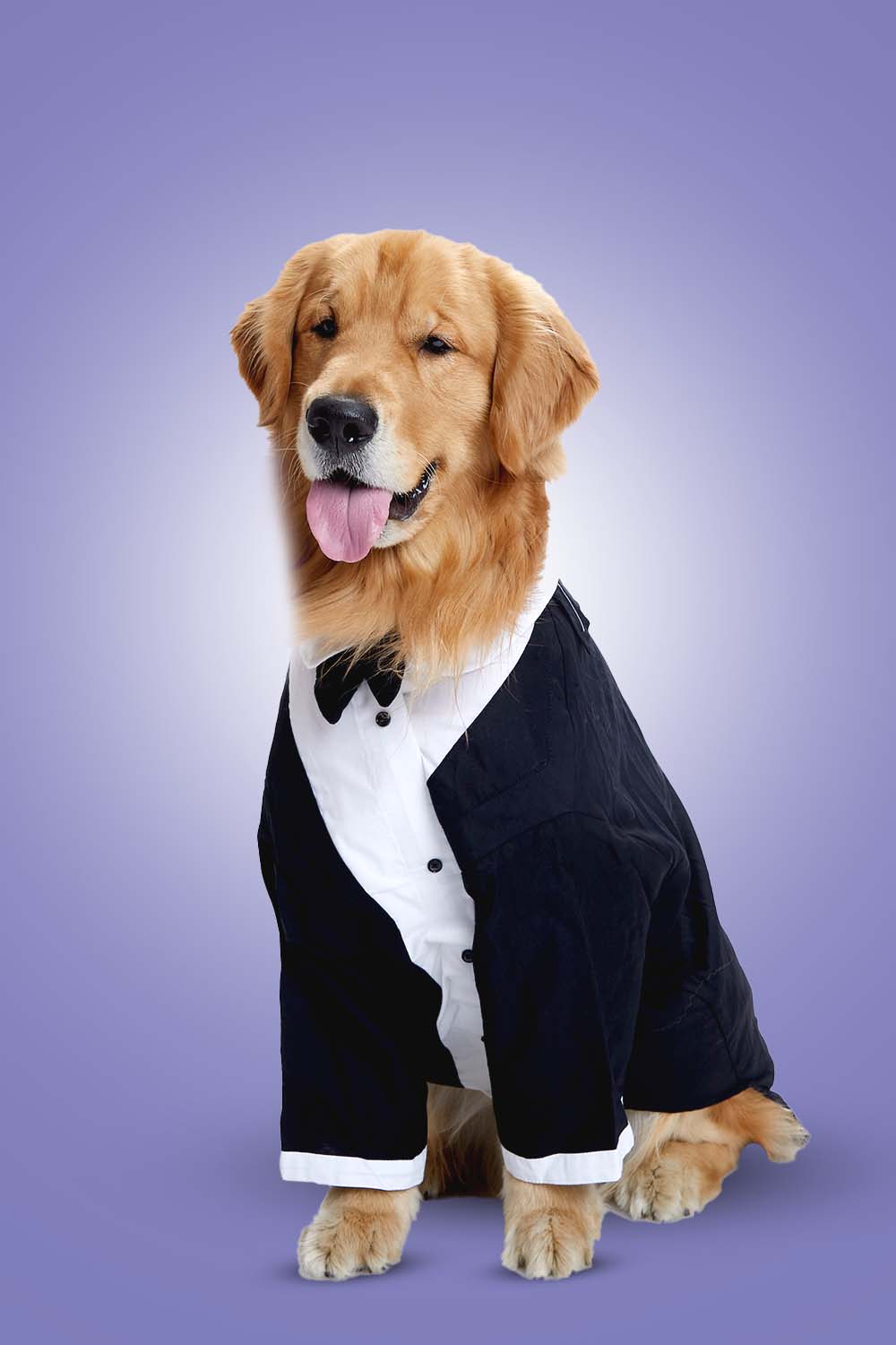 Furryfits Midnight Gala Tux Dog Clothes – Elegant & Sophisticated Formal Wear