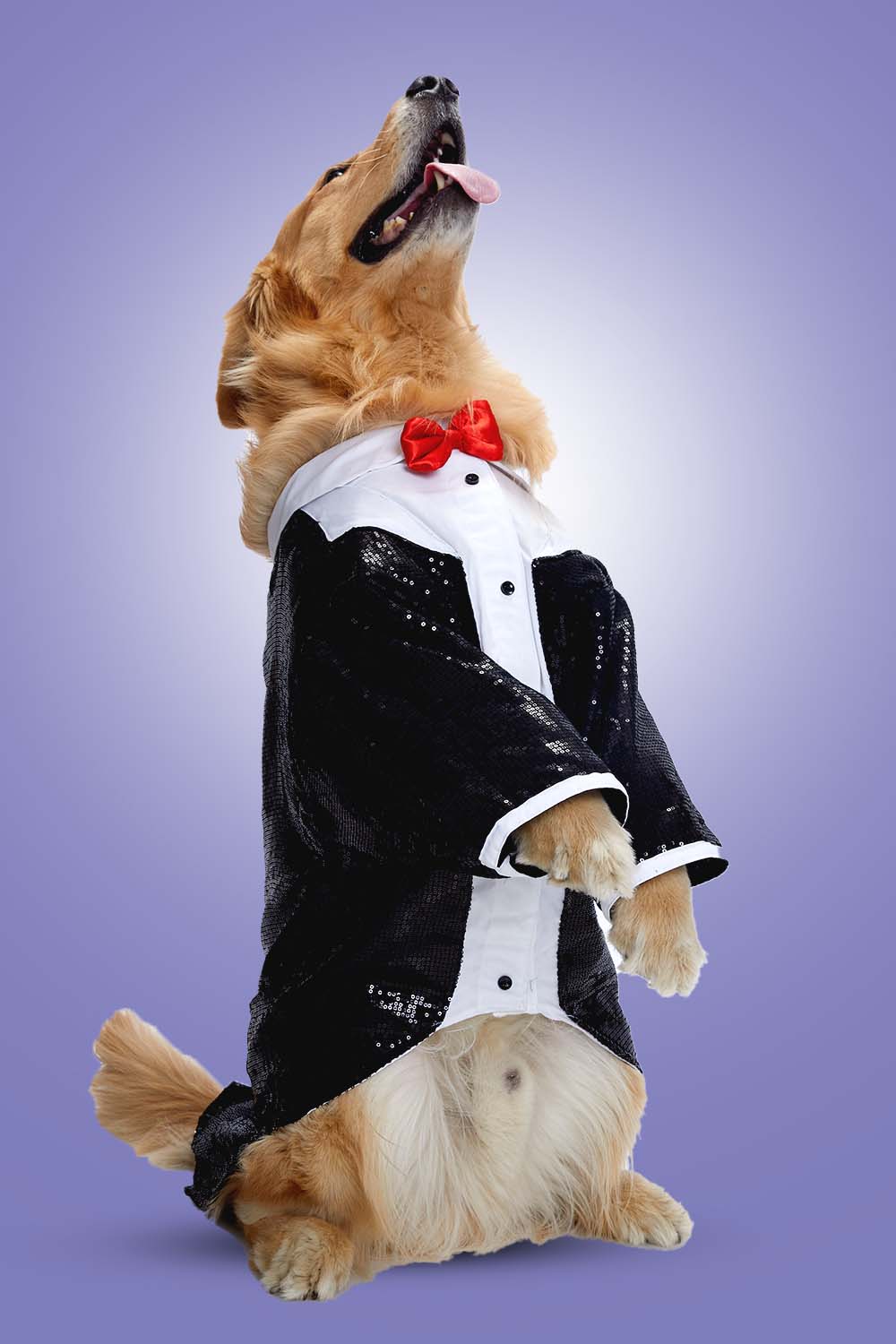 Furryfits Sparkle Party Tux Dog Clothes – Stylish & Elegant Party Wear