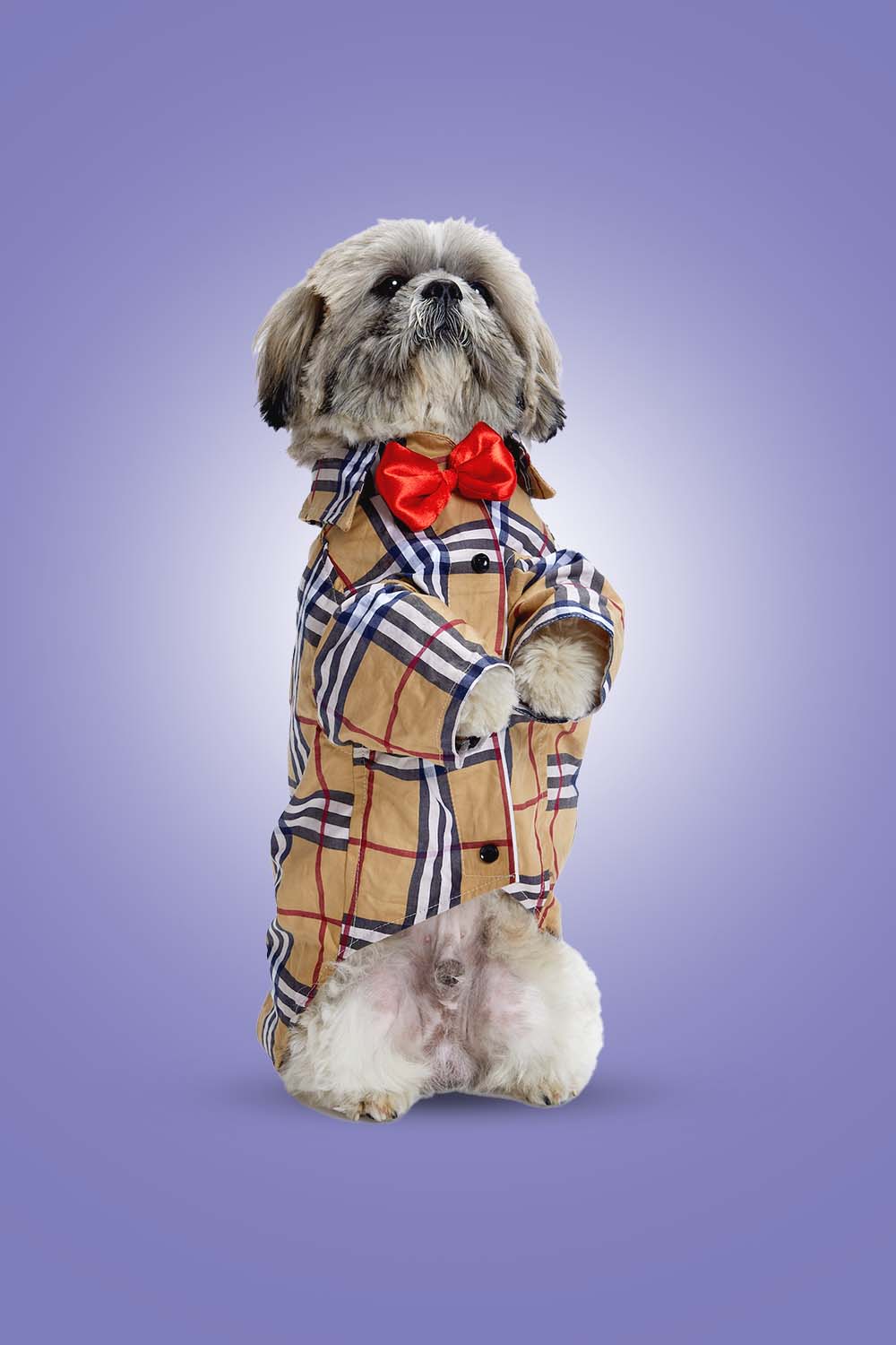 Furryfits Classic Burberry Dog Clothes Shirt – Iconic Style & Everyday Comfort