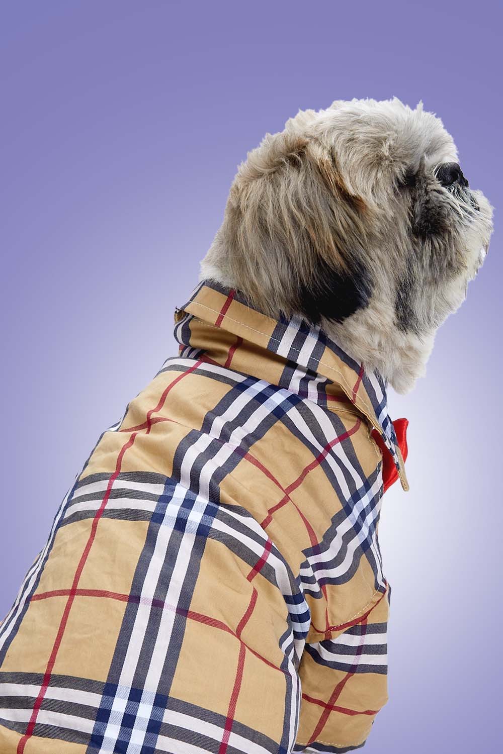 Furryfits Classic Burberry Dog Clothes Shirt – Iconic Style & Everyday Comfort
